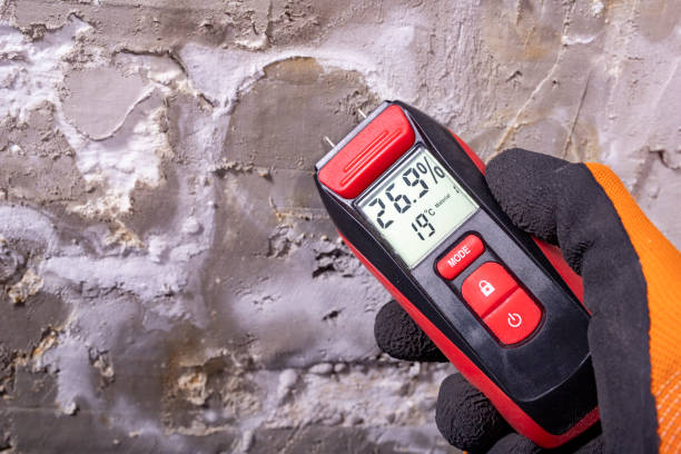 Best Certified Mold Removal  in Henderson, KY
