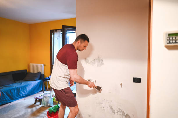 Best Mold Testing  in Henderson, KY